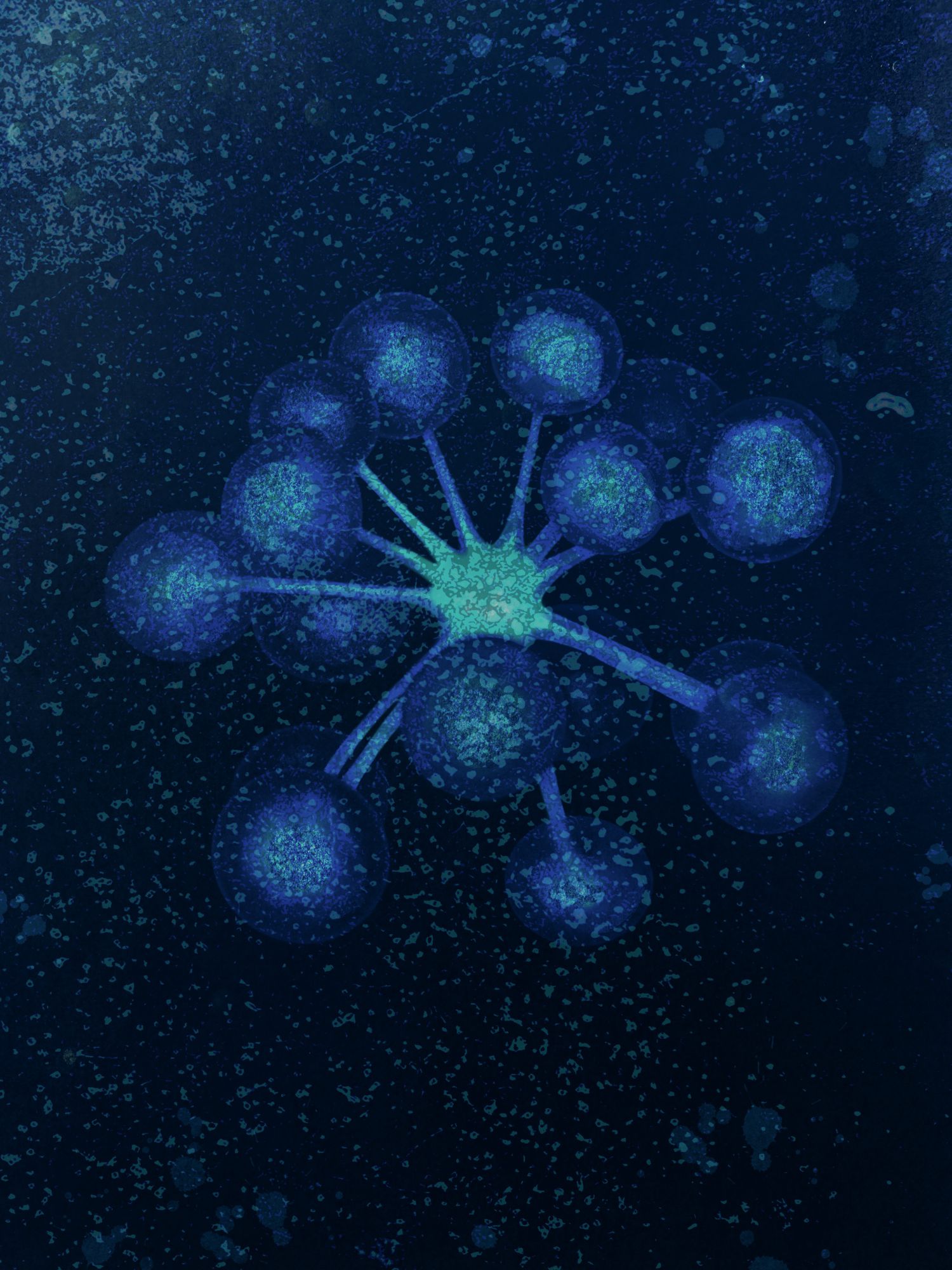 A cyanotype squid-like creature with light reflections on its sophisticated skin. Creature extends diagonally through the image on a mysterious dark background.